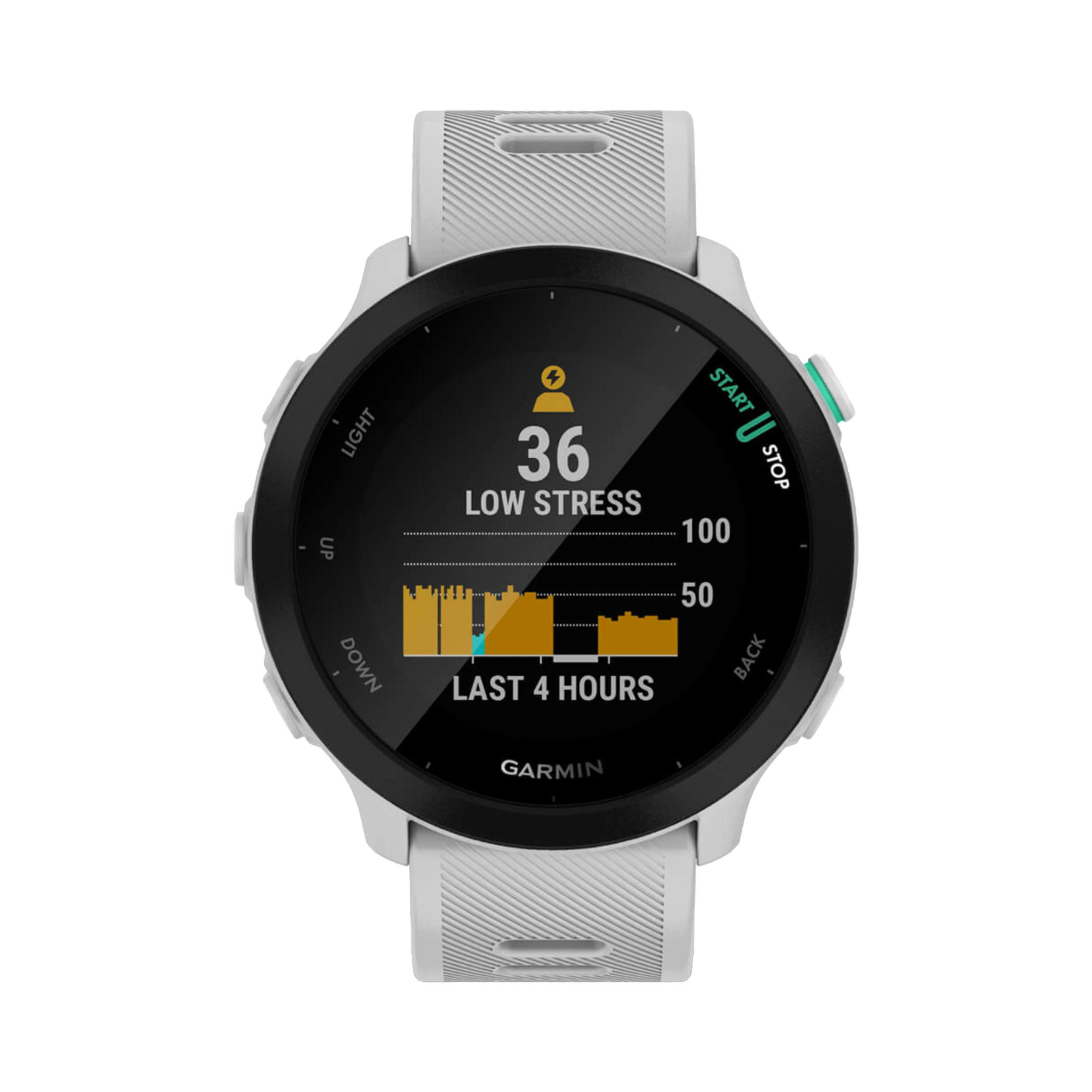 Garmin Forerunner 55 GPS Smartwatch 42mm