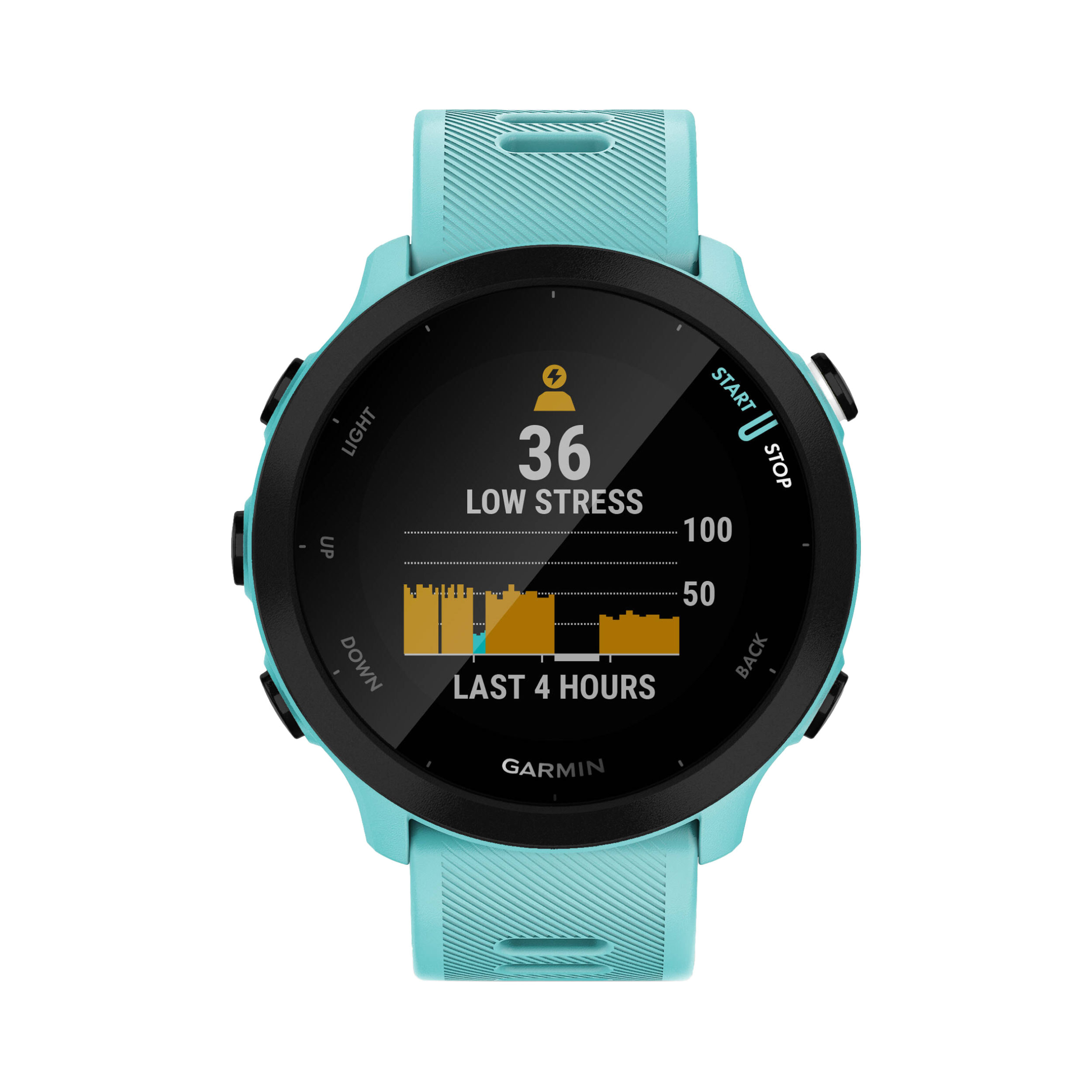 Garmin Forerunner 55 GPS Smartwatch 42mm